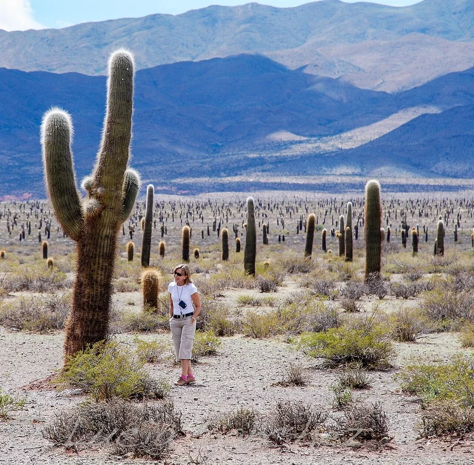 Parque Nacional Los Cardones, Salta