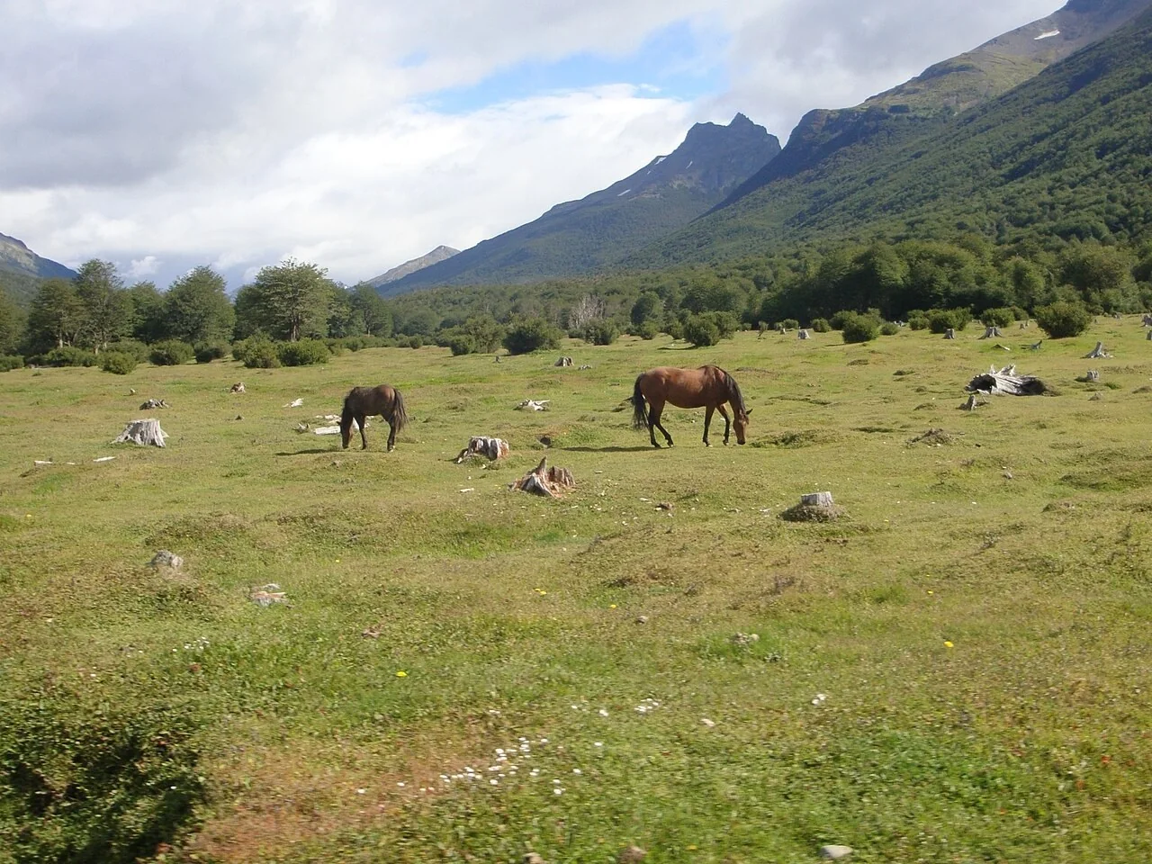 Parque Nacional Tierra del Fuego