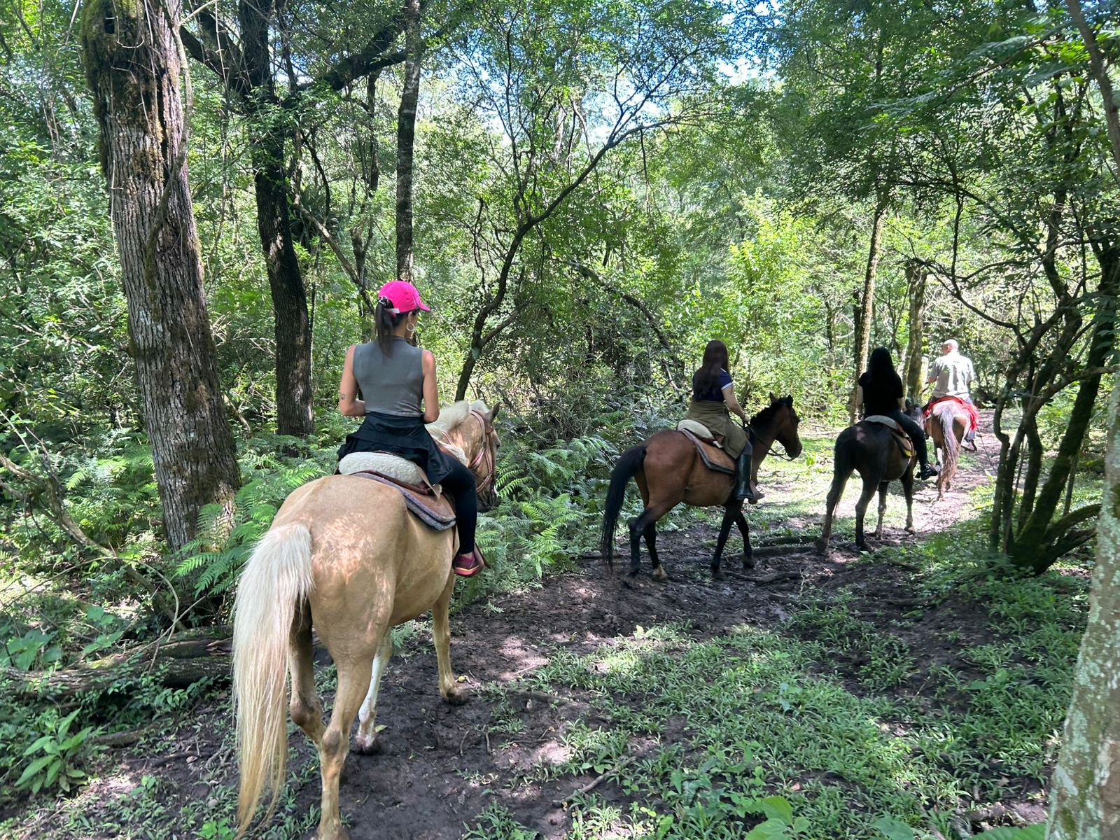 Grupo de turistas en cabalgata por la selva de las Yungas en Tucumán